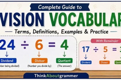 Division Vocabulary